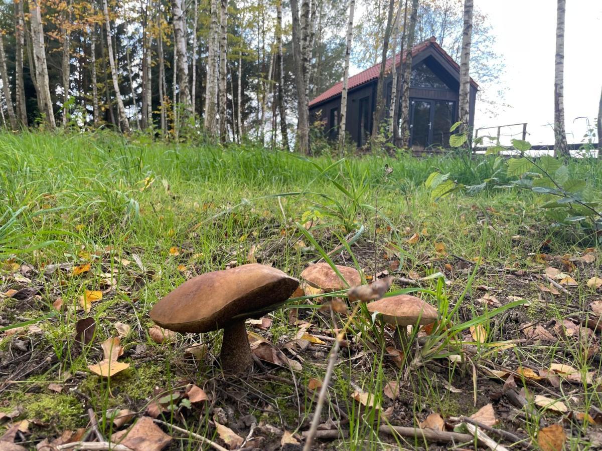 Szopa_Narie Villa Gulbity Kültér fotó
